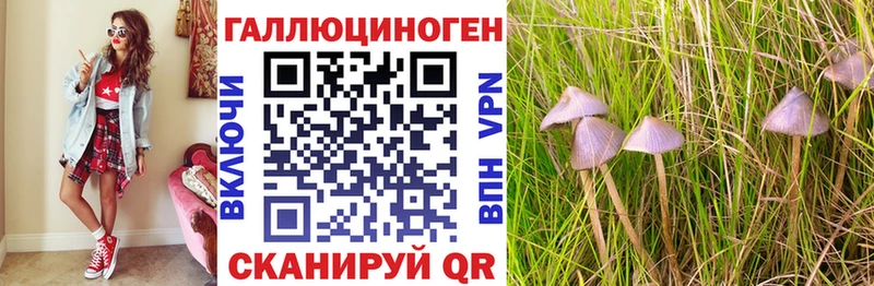 ссылка на мегу маркетплейс  Билибино  Галлюциногенные грибы Cubensis 