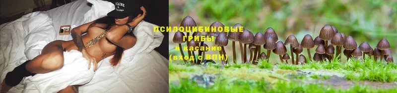 blacksprut онион  Билибино  Галлюциногенные грибы MAGIC MUSHROOMS 